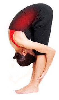 Yoga (14)